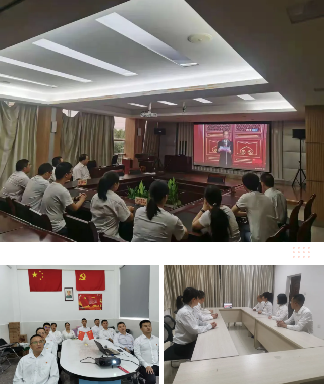 彩虹集团各党支部在分会场收看庆祝中国共产党成立100周年大会